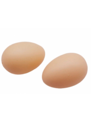 пластиковое куриное яйцо